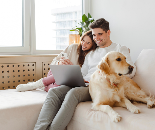 Couple sitting on a sofa, looking at a laptop together while their dog sits nearby, sharing a cozy moment at home